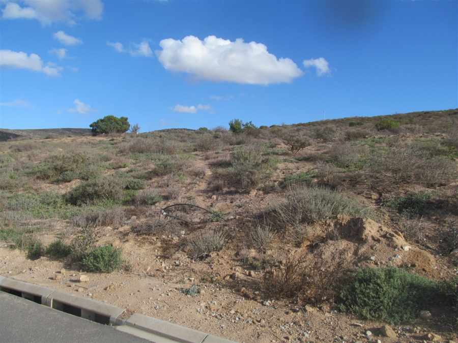 0 Bedroom Property for Sale in Britannica Heights Western Cape